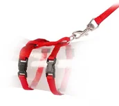 Szelki dla kotów - Duvo+ DUVO+ Szelki dla Kociąt Regulowane 15-25cm +SMYCZ OF-A-VAT017213 - miniaturka - grafika 1