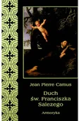 Religia i religioznawstwo - Duch św Franciszka Salezego Używana - miniaturka - grafika 1