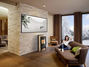 Haas+Sohn Piec kominkowy MADEIRA MADEIRA - Wkłady kominkowe - miniaturka - grafika 2