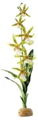 Dekoracje do terrarium - Exo Terra EXO Terra pająki Orchidee PT2991 - miniaturka - grafika 1