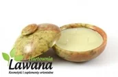 Świece - Song Of India Świeca zapachowa w kamieniu DRZEWO SANDAŁOWE - miniaturka - grafika 1