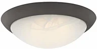 Lampy sufitowe - Westinghouse Lighting 63089 lampa sufitowa LED z możliwością ściemniania, 28 cm, do wnętrz, wykonanie z olejowanego brązu z białym szkłem alabastrowym - miniaturka - grafika 1