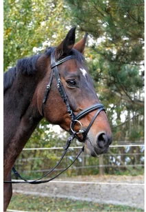 Kerbl Ogłowie wędzidłowe Classic, skóra, czarne, rozmiar Cob, 326138 - Ogłowia - miniaturka - grafika 2