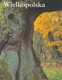 Bosz Piotr Skórnicki Wielkopolska (polsko - angielska) - Albumy krajoznawcze - miniaturka - grafika 2