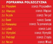 Pomoce naukowe - Poprawna polszczyzna nr 2 ES034 - miniaturka - grafika 1