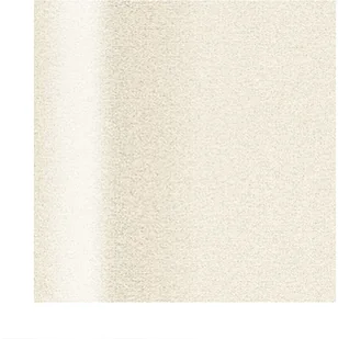 RASCH Tapeta Sparkling 898231 10,05x0,53/Tapeta Winylowa Na Podłużu Flizelinowym/GAT 1 - Tapety - miniaturka - grafika 2