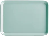 Tace i patery - ZELLER Wielofunkcyjna taca materiał melamina wytrzymały materiał zaokrąglone boki miętowy kolor Zeller B07DN9X4Y1 - miniaturka - grafika 1