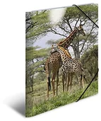 Teczki i skoroszyty - Herma HERMA 19332 na wysoki połysk teczka DIN A3 z tworzywa sztucznego, seria zwierząt, druk teczka z motywem znaku żyrafa, z gumowym-Eckspanner, z wewnętrznym, 1 sztuka 19332 - miniaturka - grafika 1