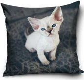 Poszewki na poduszki - CX Poszewka Kotek PD181014A 40x40 cm 14692 - miniaturka - grafika 1