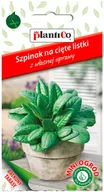 Nasiona i cebule - Plantico Szpinak Mini Ogród - miniaturka - grafika 1