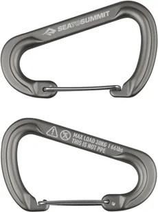 Sea to Summit Sea to Summit Accessory Carabiner Set 2 Pieces Large, szary 2022 Breloki ATD0140-00122101 - Breloki Sea to Summit Sea to Summit Accessory Carabiner Set 2 Pieces Large, szary 2022 Breloki ATD0140-00122101 - Breloki - miniaturka - grafika 1