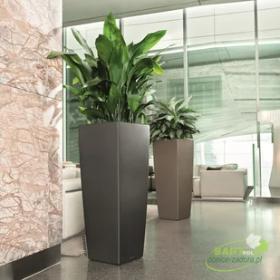 Lechuza Donica CUBICO Alto 40/40/105 espresso metalik CUBICO ALTO 40 ESPRE - Donice - miniaturka - grafika 5