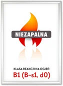 Ramki na zdjęcia - Rama zatrzaskowa owz B2 niezapalna, ognioodporna - miniaturka - grafika 1
