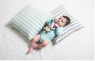 Tiny Love Tiny Smarts, Zawieszka/Pozytywka, Piesek Husky Rob - Zawieszki dla dzieci i niemowląt - miniaturka - grafika 9