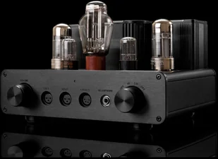 Woo Audio WA22 - Wzmacniacze - miniaturka - grafika 4