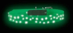 Ecolife HUNTER OBROŻA DLA PSA CONVENIENCE REFLECT GLOW STARS BIAŁA dł 45 szer 2cm - Obroże dla psów - miniaturka - grafika 2