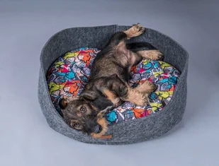 Ami Play Legowisko owalne 2 w 1 Hygge L 50699-uniw - Legowiska dla psów - miniaturka - grafika 3
