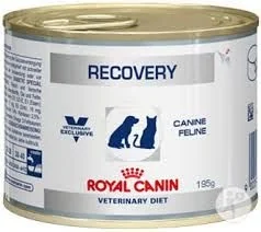 Royal Canin Recovery 195g - Mokra karma dla psów - miniaturka - grafika 9