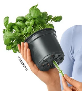 Lechuza Doniczka BALCONISSIMA Color 40 piaskowy brąz BALCONISSIMA C.40 PI - Donice - miniaturka - grafika 9