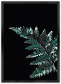 Plakaty - Dekoria Dekoria Plakat Dark Fern Leaf 70 x 100 cm Ramka Czarna 223E-000-19 - miniaturka - grafika 1