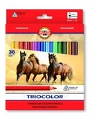 Kredki, ołówki, pastele i pisaki - Koh-I-Noor KREDKI TRIOCOLOR 36 KOLORÓW TRÓJKĄTNE JUMBO 10736 [7439758] - miniaturka - grafika 1