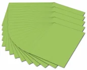 Papier do drukarek - Folia karton fotograficzny, 300 g/m, DIN A4, w kolorze czarnym, 51 jasnozielony 614/50 51 - miniaturka - grafika 1