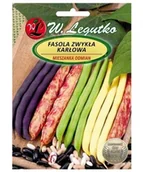 Nasiona i cebule - Legutko Fasola szparagowa karłowa MIX ODMIAN 40g Nas000500 - miniaturka - grafika 1