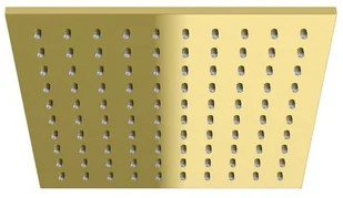 Kohlman Experience Gold zestaw prysznicowy złoty połysk QW210EGDQ25 | - Zestawy prysznicowe - miniaturka - grafika 3