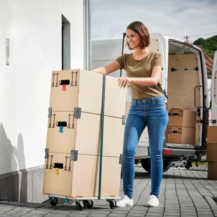 WOLFCRAFT WOLFCRAFT Wózek meblowy Wolfcraft FT 300 5542000 WF5542000 - Wózki magazynowe - miniaturka - grafika 3