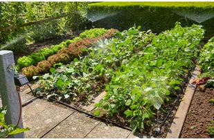 ZESTAW PODSTAWOWY NA GRZĄDKI I RABATY MDS - Węże ogrodowe i zraszacze - miniaturka - grafika 3