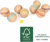 Zabawki i gry sportowe - Small Foot by Legler Small Foot 12029 Boule Active but z drewna z certyfikatem FSC 100%, dla dzieci od 3 lat, do zabawy na świeżym powietrzu w ogrodzie lub na plaży, wielokolorowy - miniaturka - grafika 1