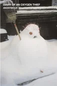 Pozostałe książki - Little, Brown Book Group Diary of an Oxygen Thief - miniaturka - grafika 1