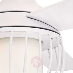 Westinghouse Graham - Wentylatory sufitowe - miniaturka - grafika 5