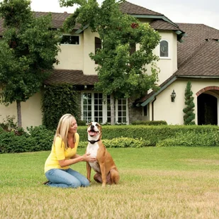 Ogrodzenie bezprzewodowe PetSafe bez kabla 32m - Artykuły szkoleniowe - miniaturka - grafika 3