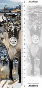 Worth-Keeping Gadżet Worth-Keeping Zakładka 3D Renifer WIKR-1000483 WIKR-1000483 - Gadżety USB - miniaturka - grafika 4