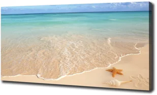 Foto obraz na płótnie Rozgwiazda na plaży - Obrazy i zdjęcia - miniaturka - grafika 5