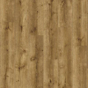 Dąb Major Natur 24847 Primero Dryback - Panele podłogowe - miniaturka - grafika 2