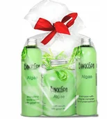 Zestawy kosmetyków damskich - Zestaw Algae, kosmetyki z algami (3 kosmetyki) - miniaturka - grafika 1