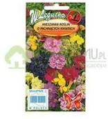 Nasiona i cebule - Legutko Mieszanka roślin o pachnących kwiatach 1g - miniaturka - grafika 1