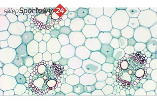Bresser KAMERA OKULAROWA CYFROWA MIKROKULAR FULL HD - Akcesoria fotograficzne - miniaturka - grafika 9