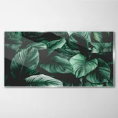 Obrazy i zdjęcia - PL Coloray Obraz Szklany liście kwiaty rośliny 120x60cm - miniaturka - grafika 1