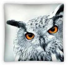 Detexpol Poszewka 3D Sowa 05 40x40 cm 07269 - Poszewki na poduszki - miniaturka - grafika 2
