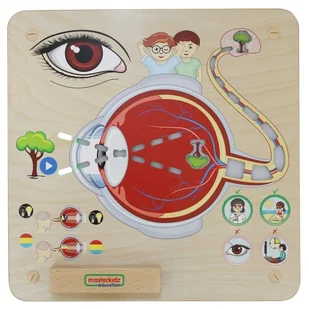 Masterkidz MASTERKIDZ Tablica Edukacyjna Zmysł Wzroku ME15815 - Tablice dla dzieci - miniaturka - grafika 3