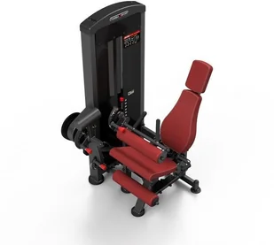 Marbo Sport Maszyna 2-w-1 na dwugłowy i czworogłowy uda MP-U216 - Atlasy do ćwiczeń Marbo Sport Maszyna 2-w-1 na dwugłowy i czworogłowy uda MP-U216 - Atlasy do ćwiczeń - miniaturka - grafika 19