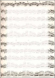 Argo DYPLOM NUTY 170G. /25/ - Dyplomy i okładki - miniaturka - grafika 2