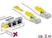 Kable miedziane - DeLock DeLOCK RJ45 kabel sieciowy CAT 6 A Secure 2.0 m ST/ST 85332 - miniaturka - grafika 1
