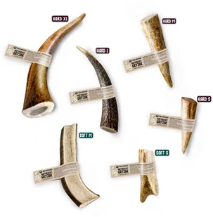 Paka Zwierzaka Naturalny gryzak z poroża jeleniowatych HARD M 12 cm Paka Zwierzaka - Przysmaki dla psów - miniaturka - grafika 2