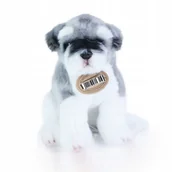 Maskotki i pluszaki - Pies piesek pluszak maskotka 20 cm jakość - miniaturka - grafika 1