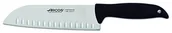 Noże kuchenne - Arcos minorka  nóż kucharski, 180 MM (opakowanie typu blister) 145900 - miniaturka - grafika 1