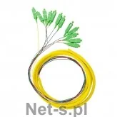 Qoltec Pigtail światłowodowy Qoltec 12x  SC/APC | SM | G652D | 2m 54361 - Pigtaile światłowodowe - miniaturka - grafika 3